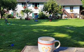 Sachserhof Ferienwohnungen